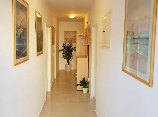 Barbat 4951a *